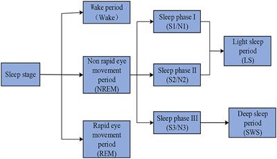 Intelligent automatic sleep staging model based on CNN and LSTM